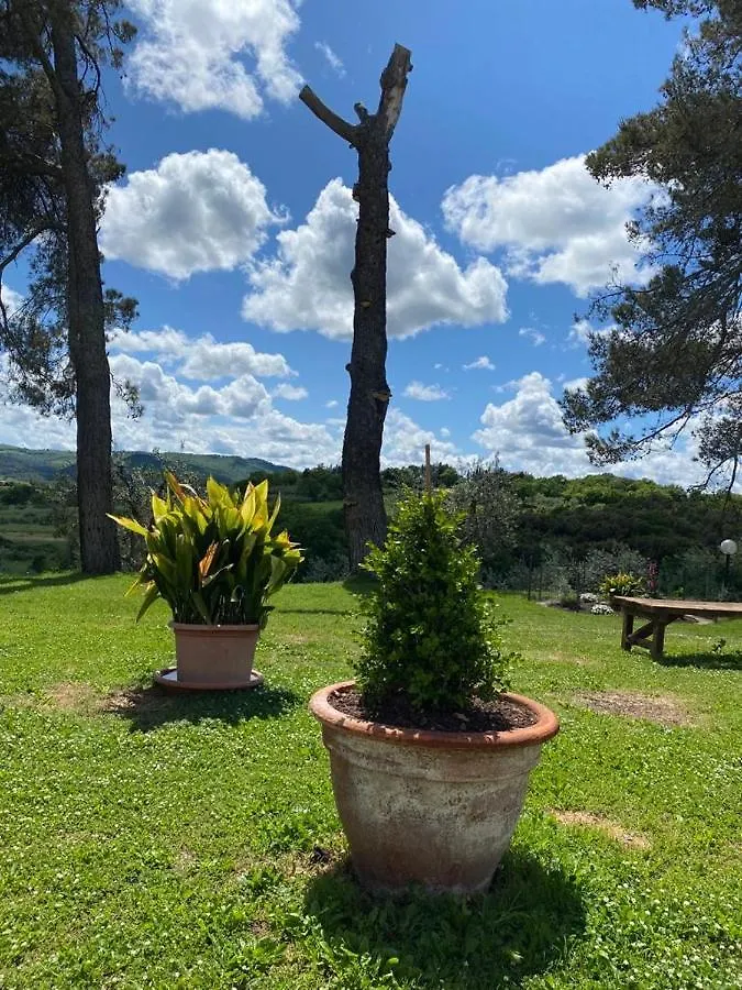 Appartamento Residence San Francesco Pomarance